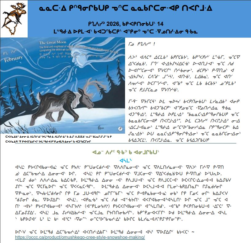 February 2026 Newsletter